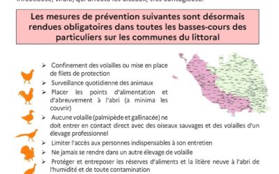 Mesures supplémentaires de prévention dans les établissements détenant des volailles et oiseaux