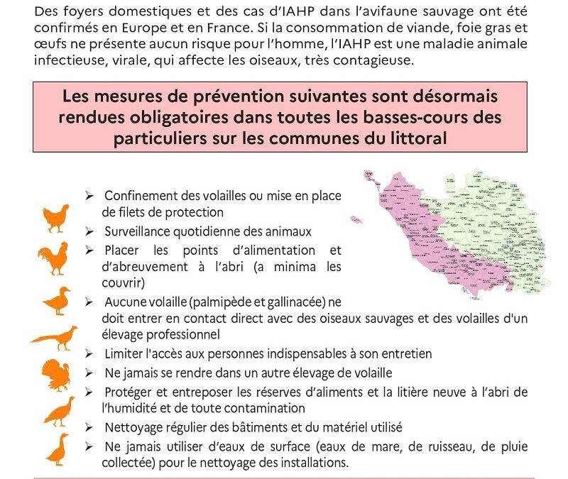 Mesures supplémentaires de prévention dans les établissements détenant des volailles et oiseaux