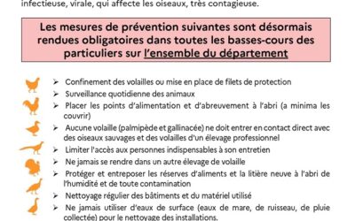 Influenza aviaire : mesures de prévention sur l’ensemble du département